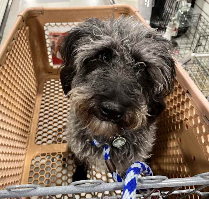 Photo of Waffle