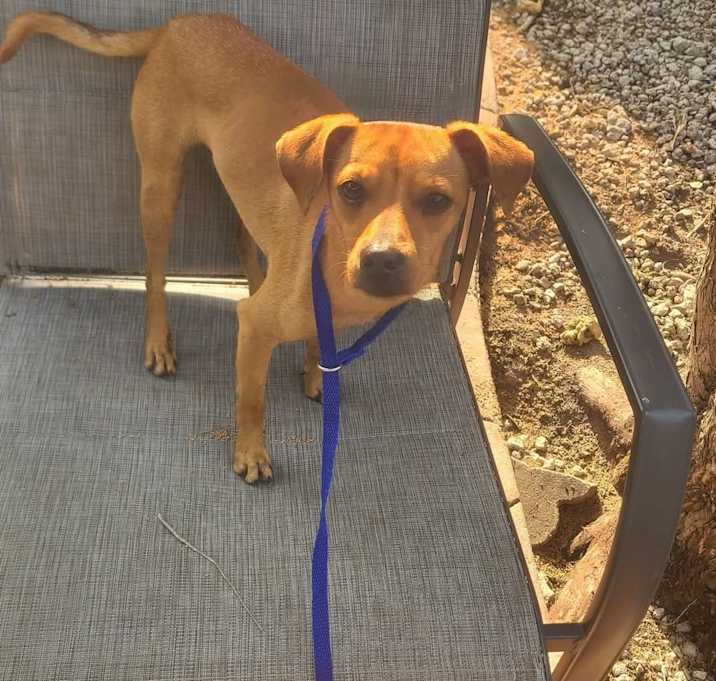 Photo of Bosco