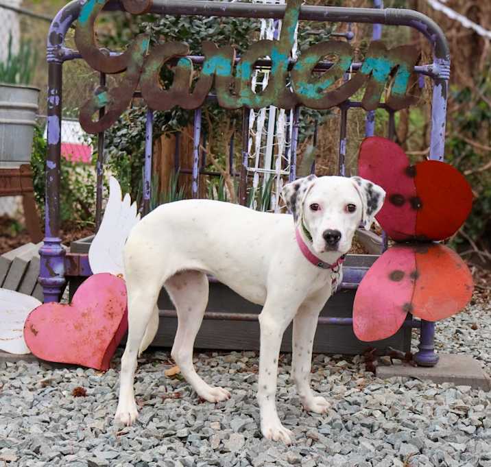 Photo of Annie