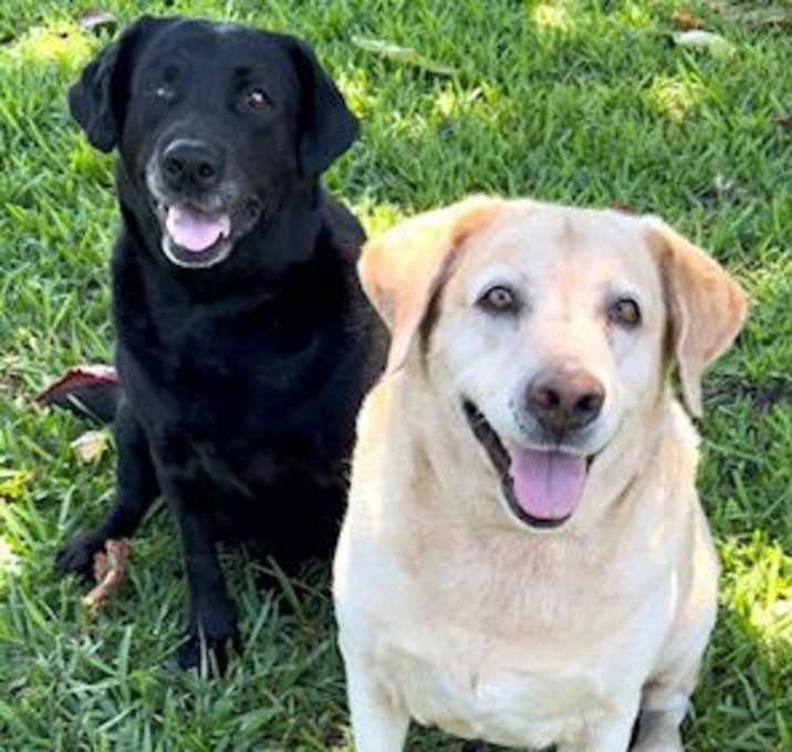 Photo of Clara & Sasha Maria