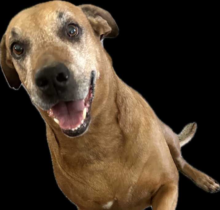 Photo of RILEY