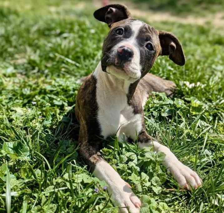 Photo of Diamond
