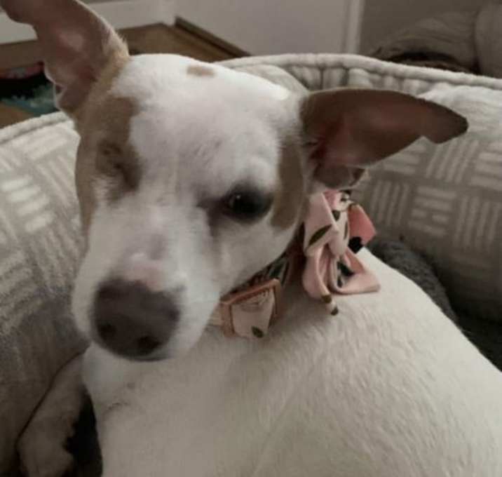 Photo of Cleo