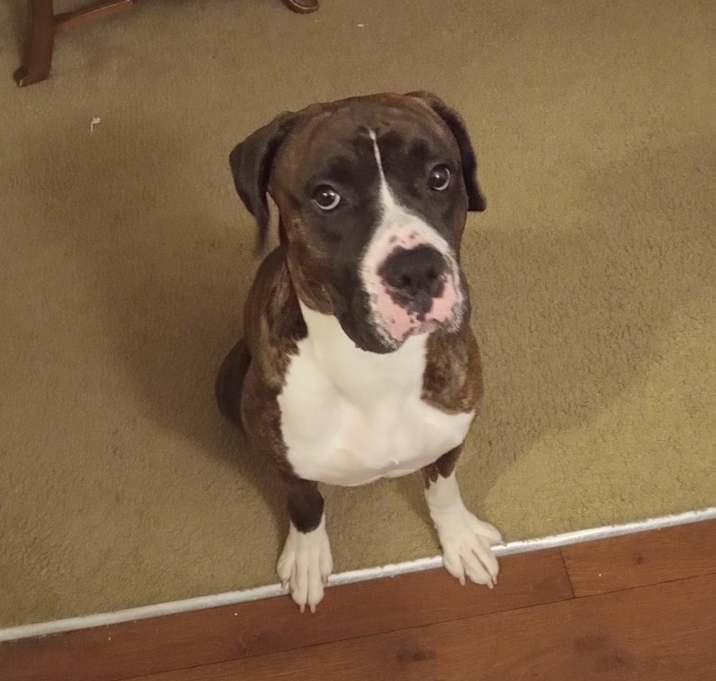 Photo of Spark