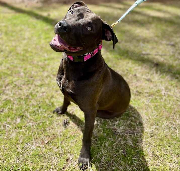 Photo of Molly