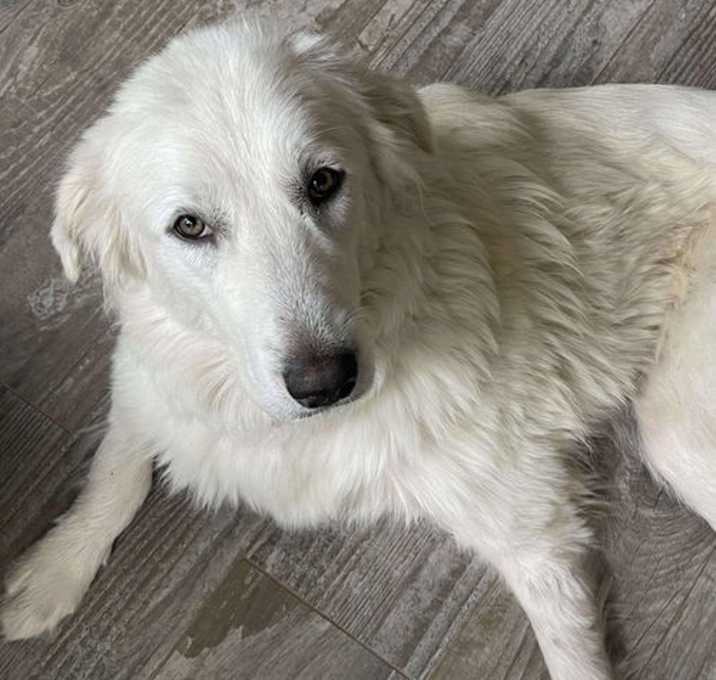 Photo of Daisy Mae