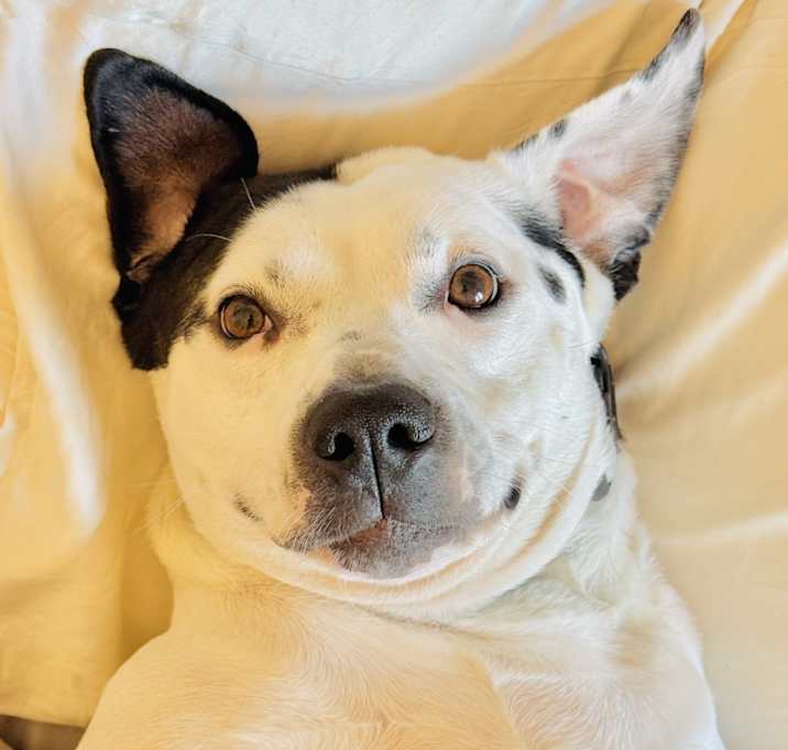 Photo of Max