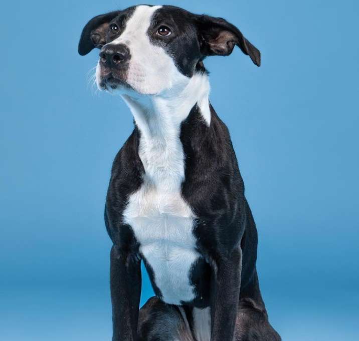 Photo of Winnie