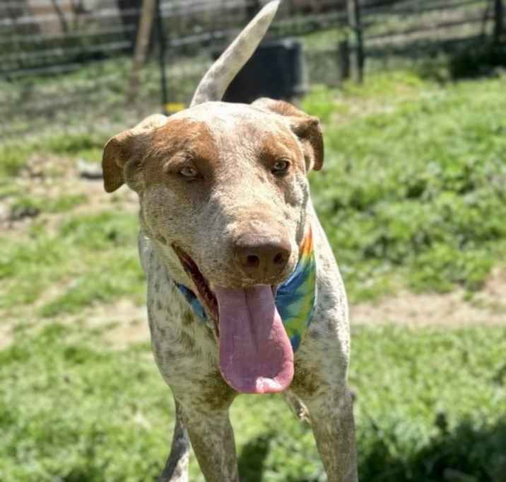 Photo of Sammie Boy