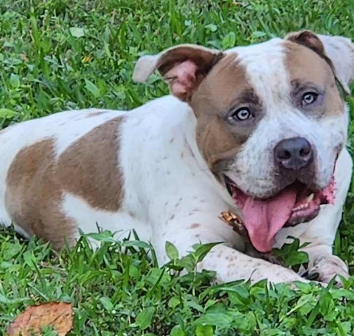 Photo of No name yet