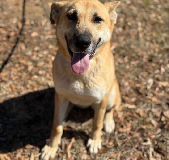 Photo of Skye
