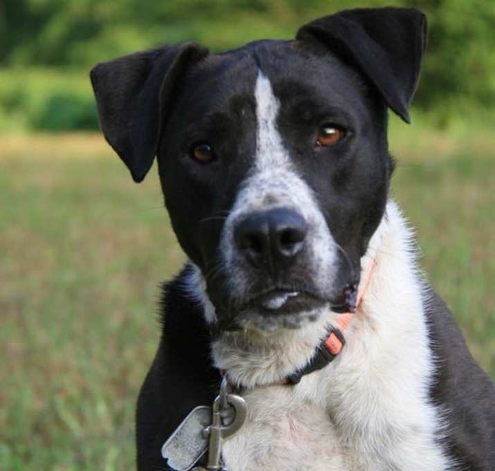 Photo of Oliver