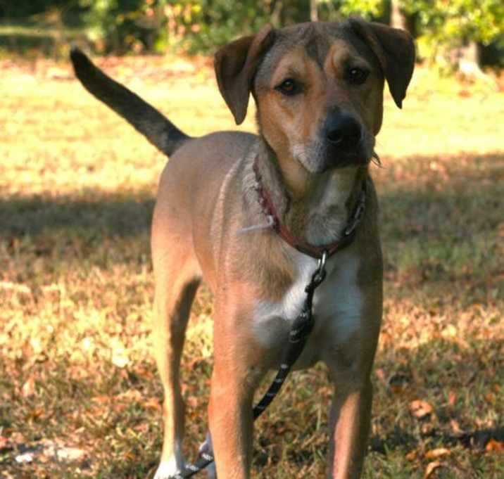 Photo of Nora