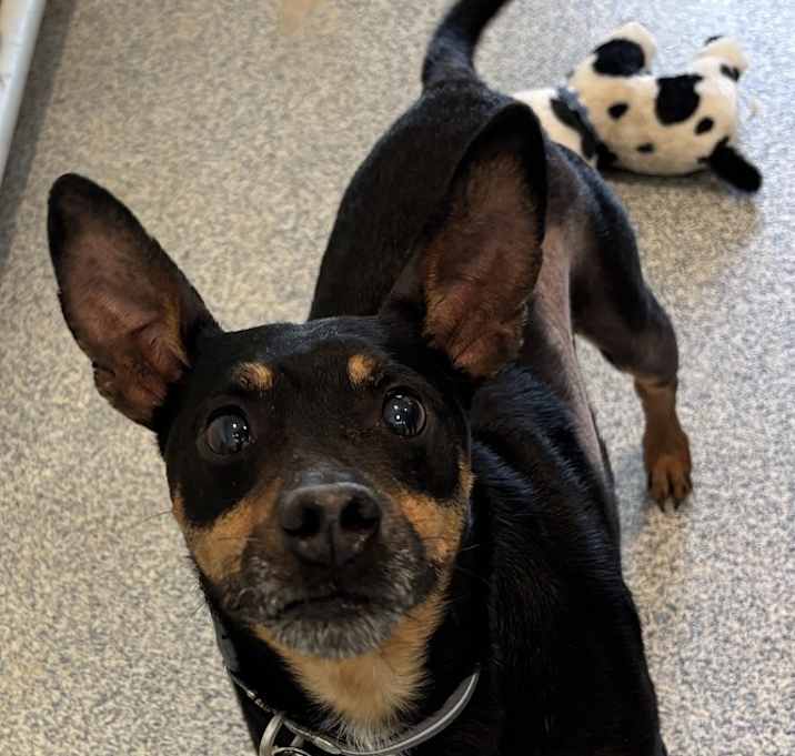 Photo of Pablo