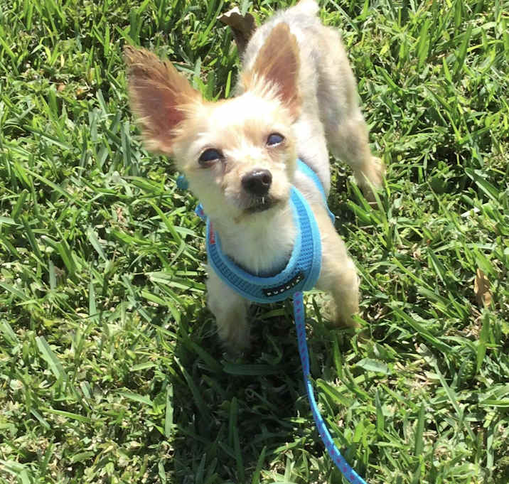 Photo of Dudley