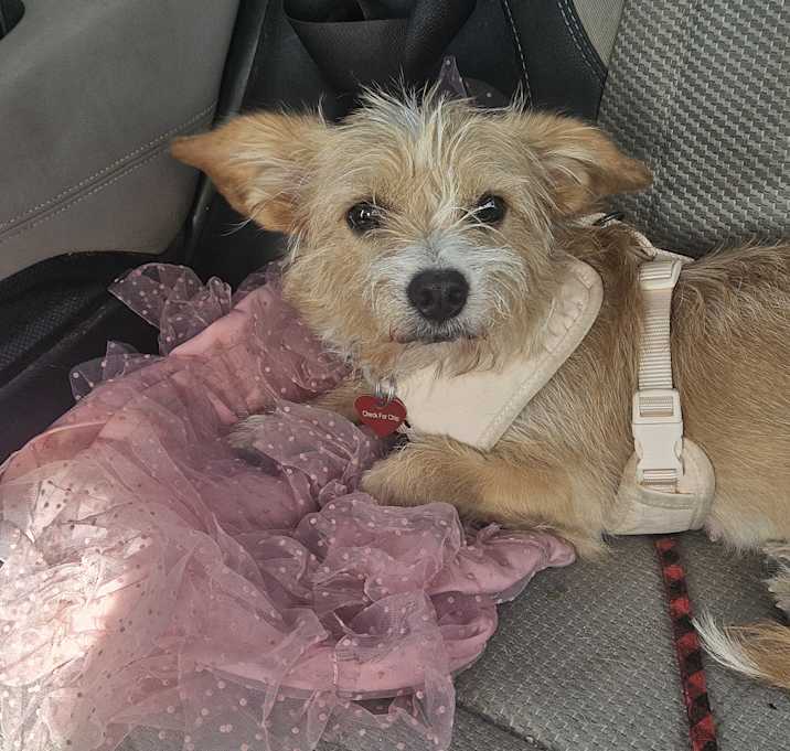 Photo of Mia