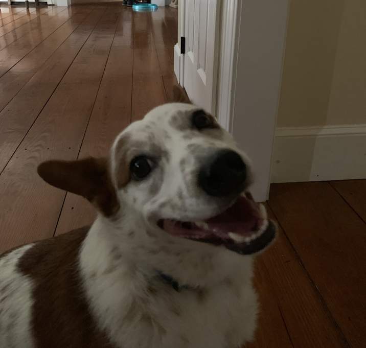 Photo of Odin