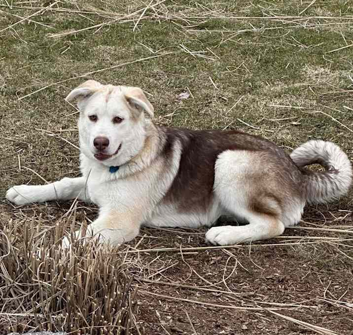 Photo of Polar
