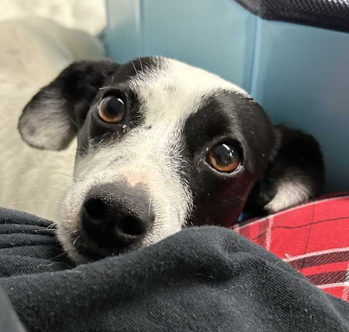 Photo of Penelope