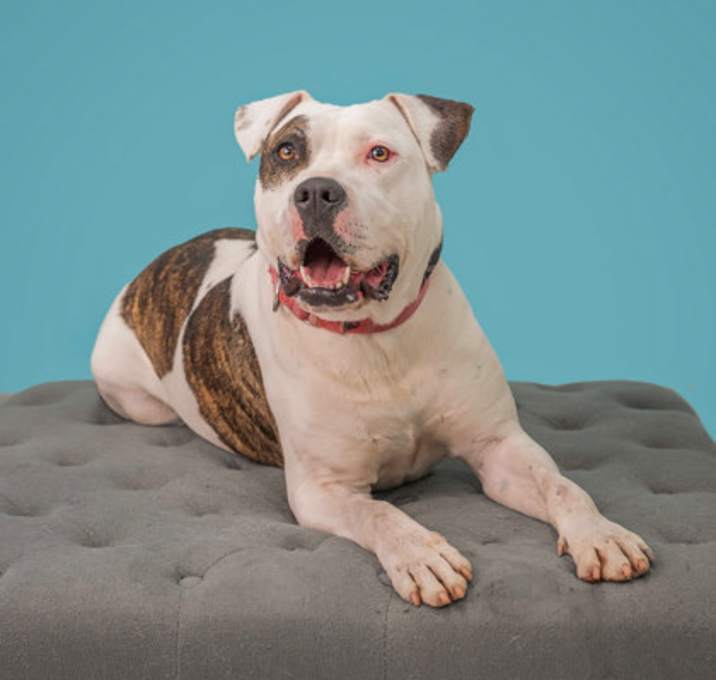 Photo of Big Mak