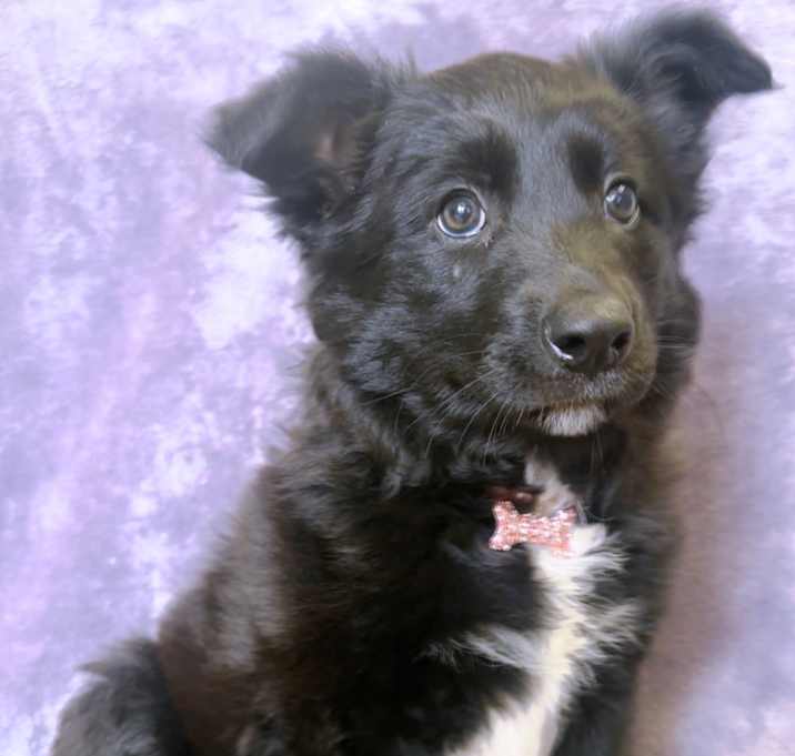 Photo of Polly
