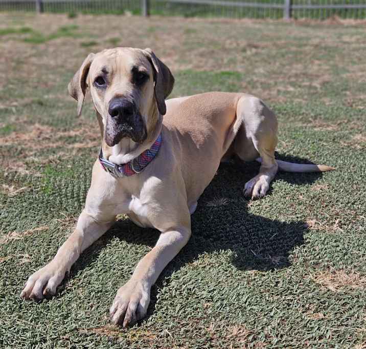 Photo of Marcie