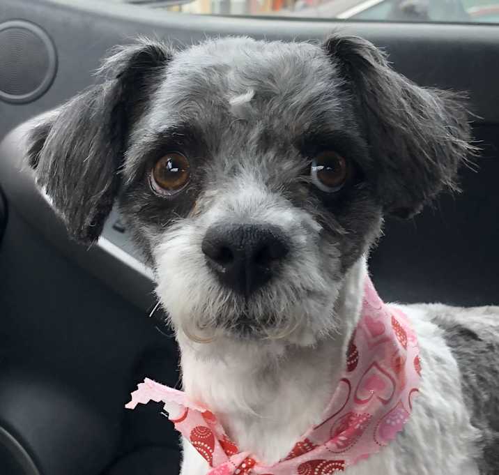 Photo of Nikki