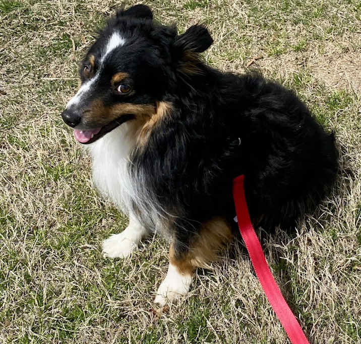 Photo of TUK