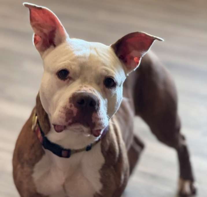 Photo of Nipsey