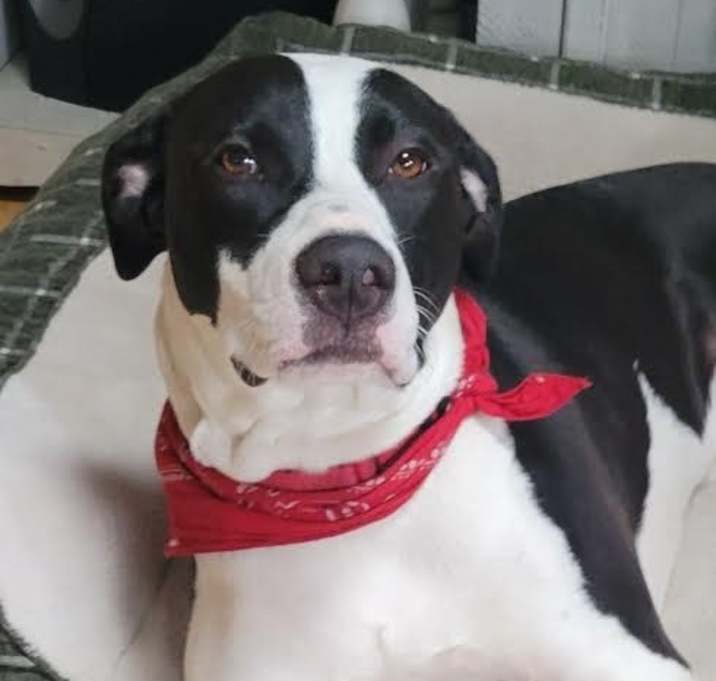 Photo of Sully