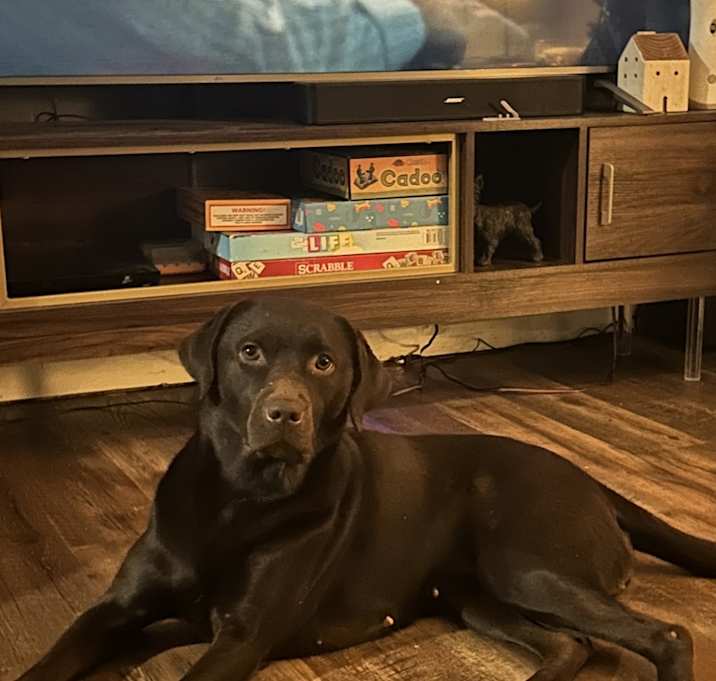 Photo of Luna