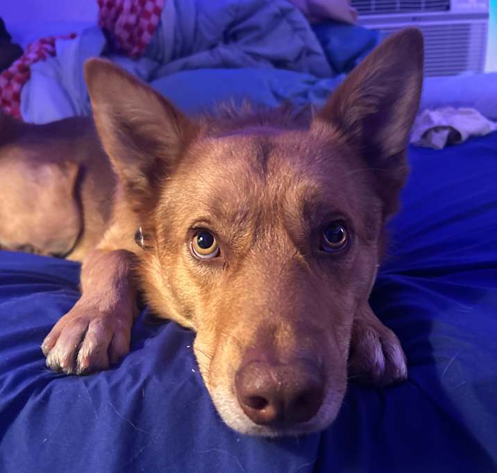 Photo of Tanner