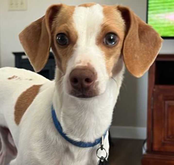 Photo of Jerry