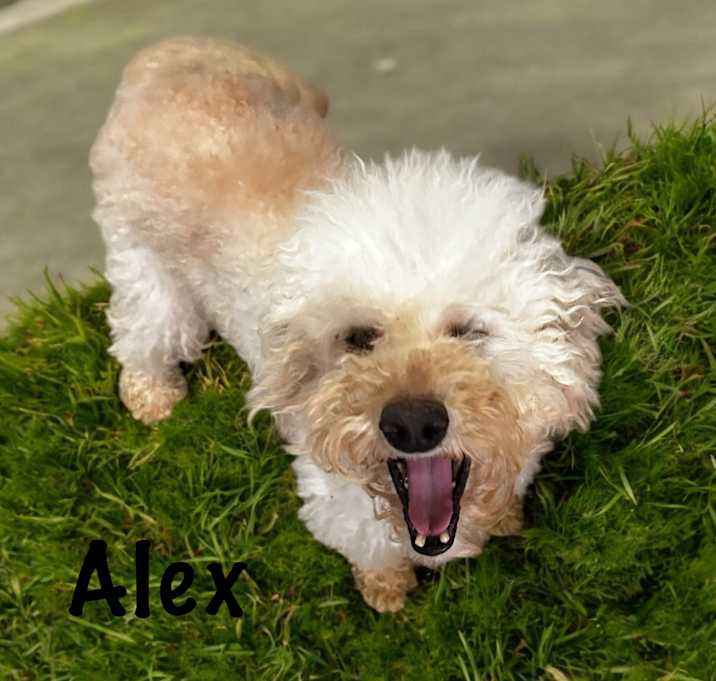 Photo of Alex
