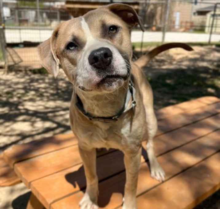 Photo of Gus 3-13-25