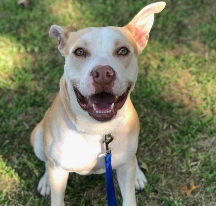 Photo of Oscar