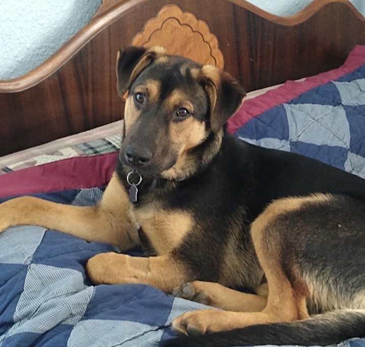 Photo of Turbo