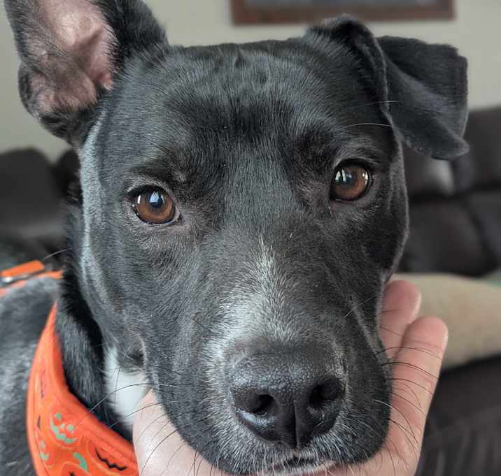 Photo of Cozy