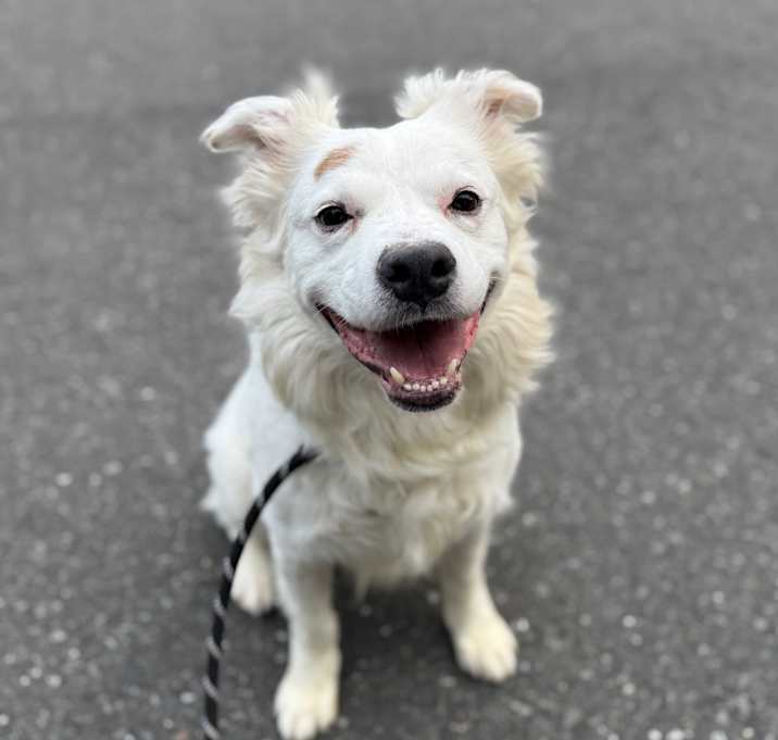 Photo of Kiko