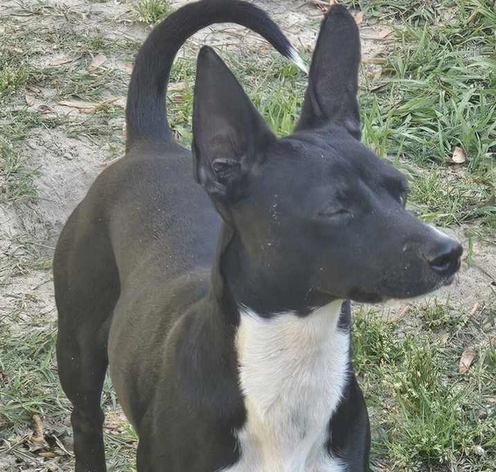Photo of Lexy