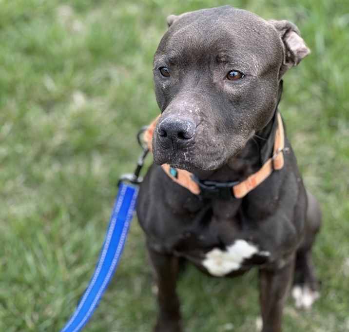 Photo of Hugo