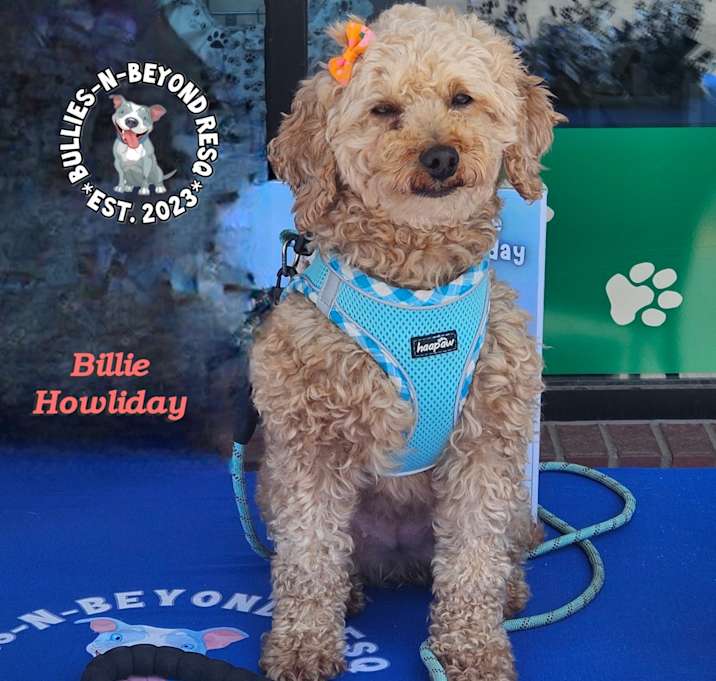 Photo of Billie Howliday