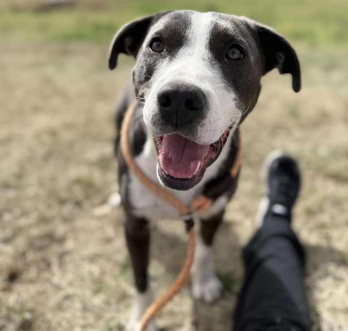 Photo of Willy