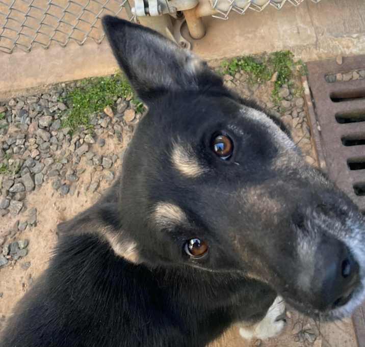 Photo of ANITA/URGENT