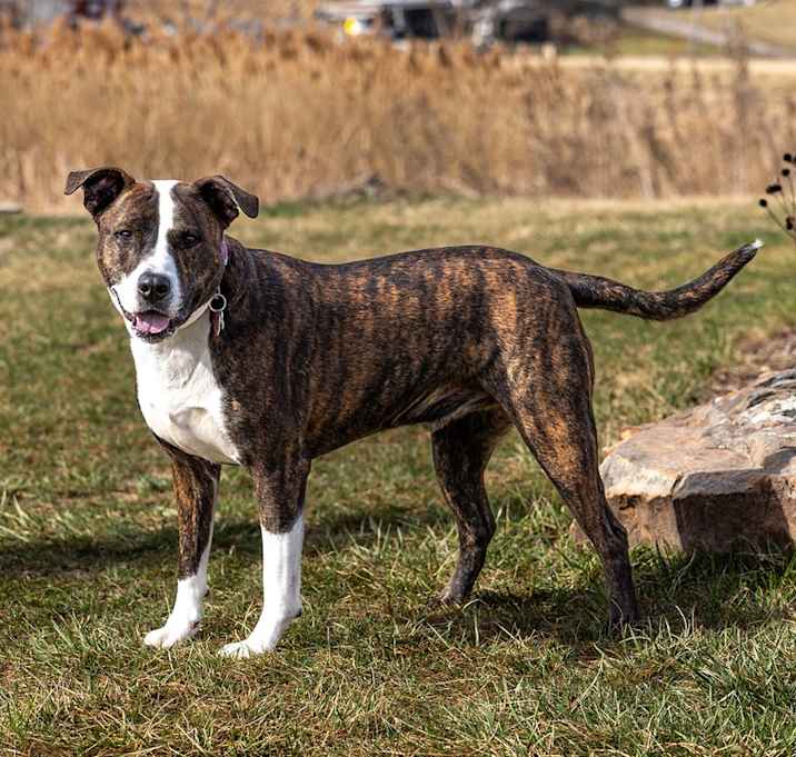 Photo of Quimby