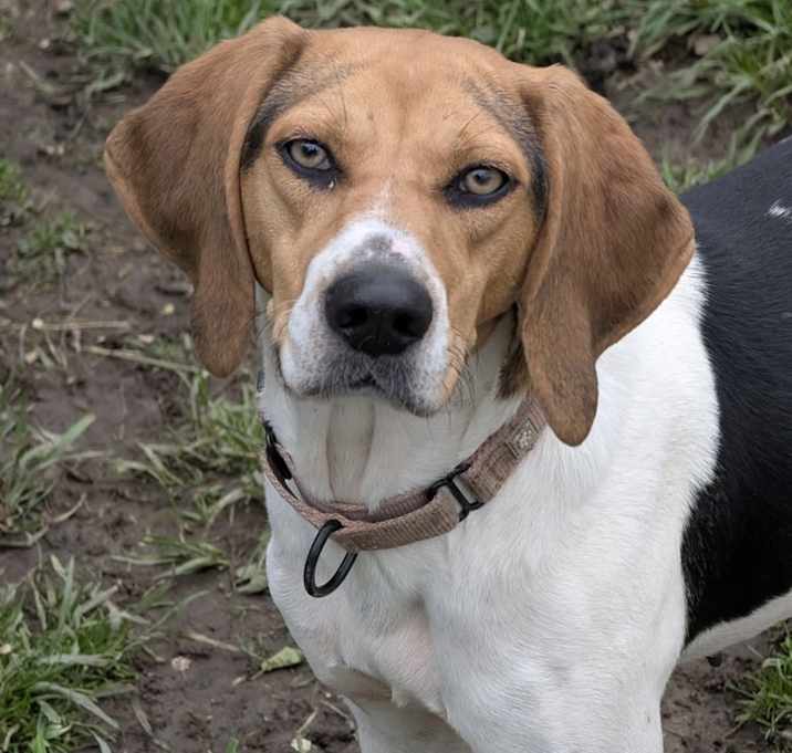 Photo of Marnie