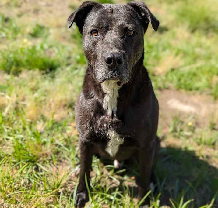 Photo of Kova