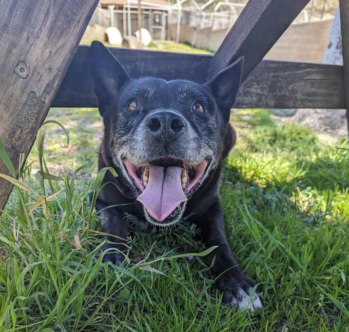 Photo of Titus