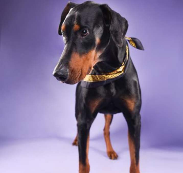 Photo of Sugar Ray