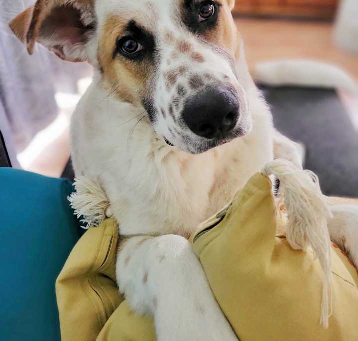 Photo of Ruby